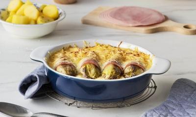 Hamrolletjes met witloof